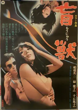 国产文艺剧情电影白鸟之诗在线观看封面